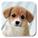 Puppies Live Wallpaper icon