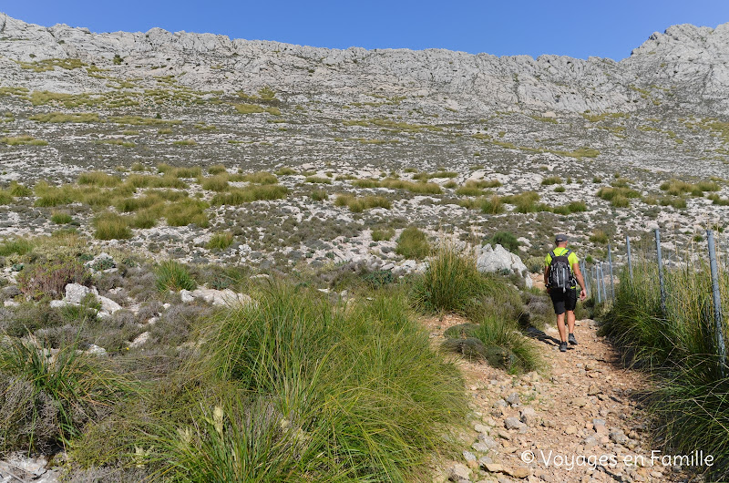 Puig des verger