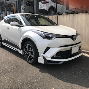 C-HR ZYX10