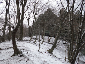 広い尾根となる