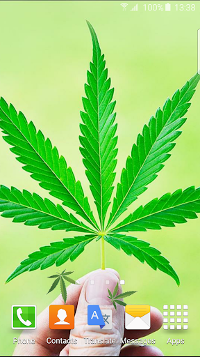 3D Marijuana Live Wallpaper