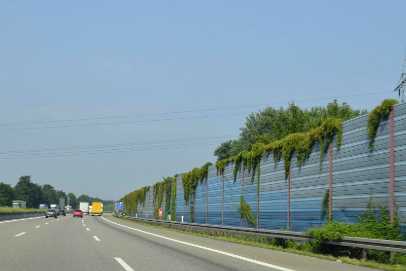 Тратата, мы везём с собой кота, и ещё с собой кота, и ещё собаку (авто, Европа, 30000 км)