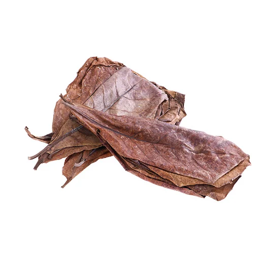 20pcs Natural Leaves Almond Tree Indian Almond Tree Olive Leaf For Aquarium Water To Balance PH Acidity 2021 New