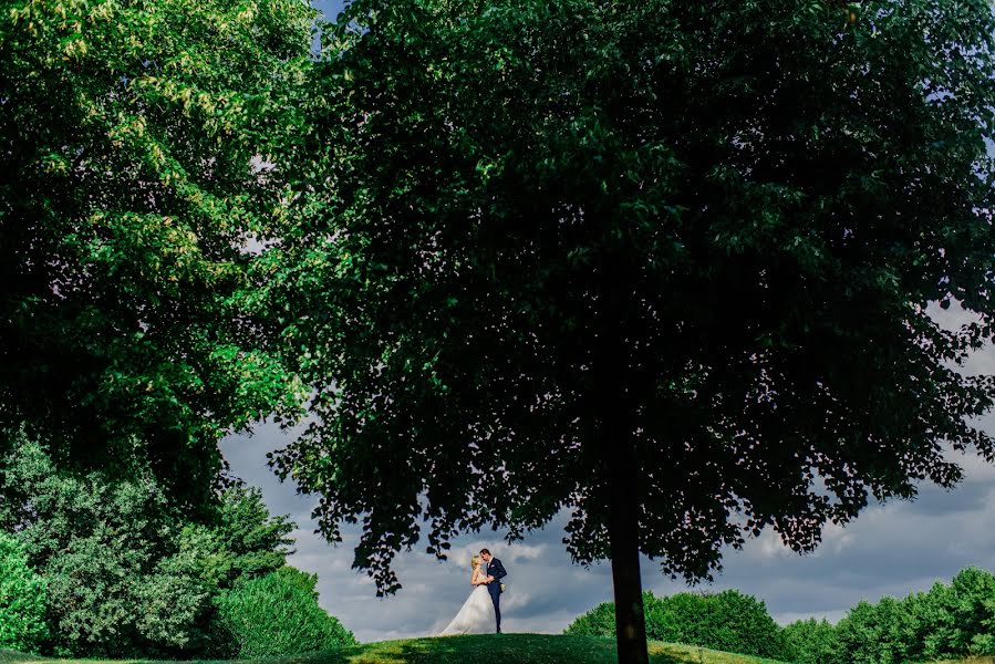 Fotografo di matrimoni Georgij Shugol (shugol). Foto del 3 luglio 2018