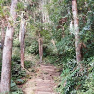 獅潭名產 仙山仙草