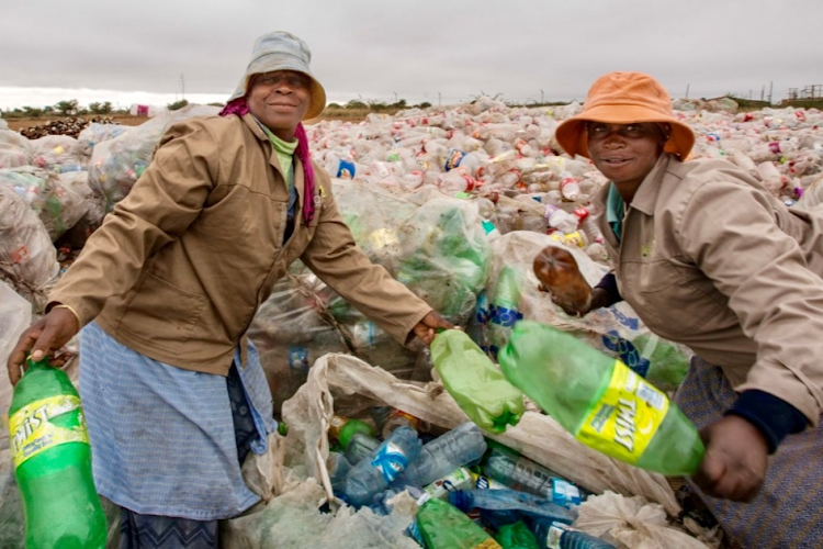 Women are boosting SA's sustainability efforts, but more needs to be done, say experts. Picture: PETCO