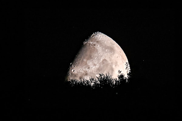 Luna nascosta  di joni