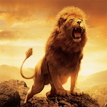 Cover Image of Herunterladen Simba 1.5 APK