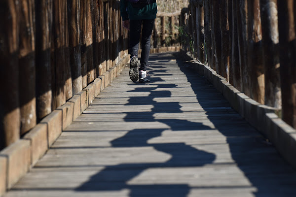 Passeggiata ecologica di fuche