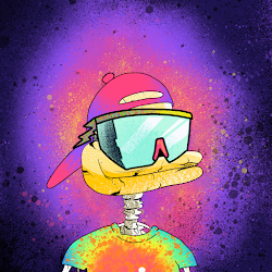 Wicked Duck 13