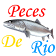 Guia de Peces de Río icon