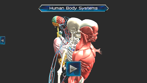 Screenshot Human Body & Anatomy Parts