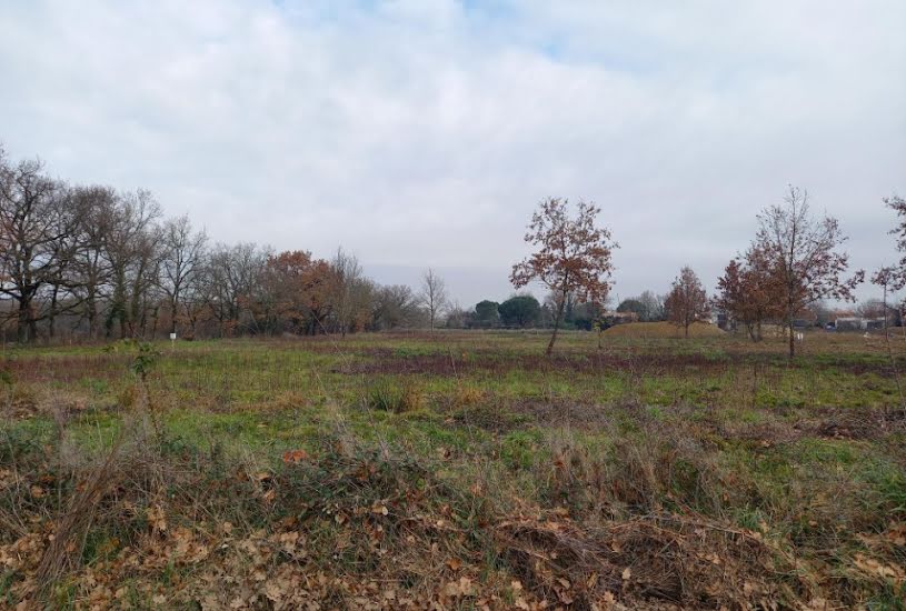  Vente Terrain + Maison - Terrain : 703m² - Maison : 90m² à Montauban (82000) 