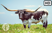 Longhorn HD Wallpapers New Tab small promo image