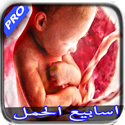 Download  اسابيع الحمل - وجنس الطفل 