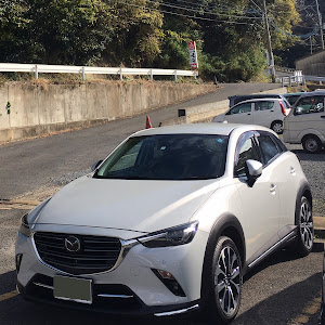 CX-3 DKEFW