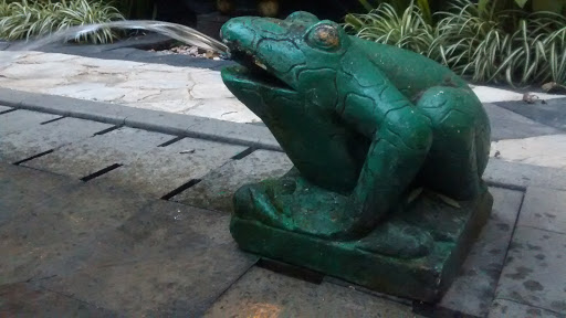 Green Frog