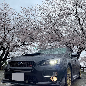 WRX S4 VAG