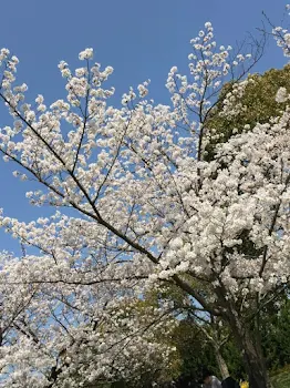 中学生いじめ