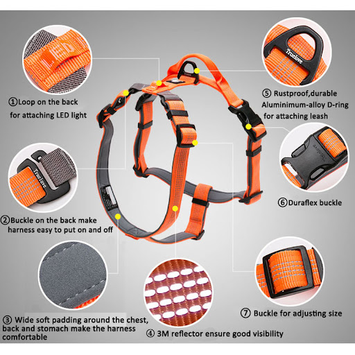 Title 6, Dog leash vest chest strap for comfortable walk...
