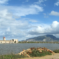 Trapani... saline mulino e monte Erice di 