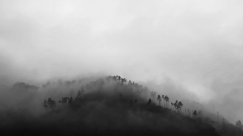 La nebbia di cesca_di.pietro