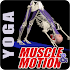 Muscle and Motion YOGA1.4.31