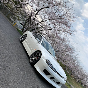 シルビア S15