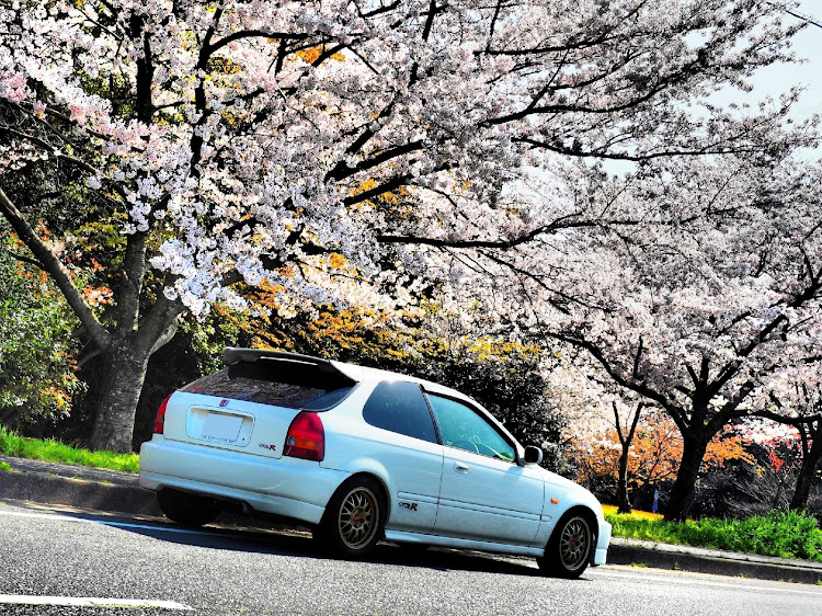 シビックの愛車のお気に入り写真バトンに関するカスタム事例の投稿画像3枚目