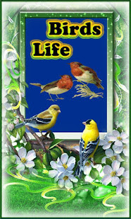 Birds Life(圖1)-速報App