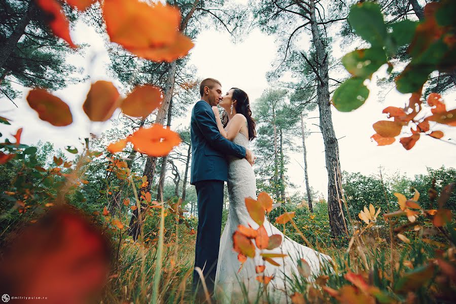 Photographe de mariage Dmitriy Puls (pulse). Photo du 17 novembre 2016