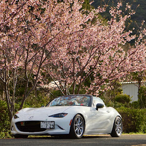 ロードスター ND5RC