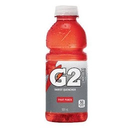 Gatorade G2TM Fruit Punch