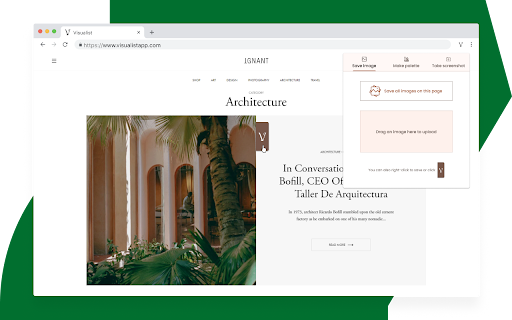 Visualist Chrome Extension