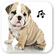 Download Dog Sounds For PC Windows and Mac 1.1.3