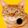 Ball Bouce (Beta) Download on Windows
