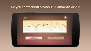 Alcohols & Carboxylic Acids Screenshot