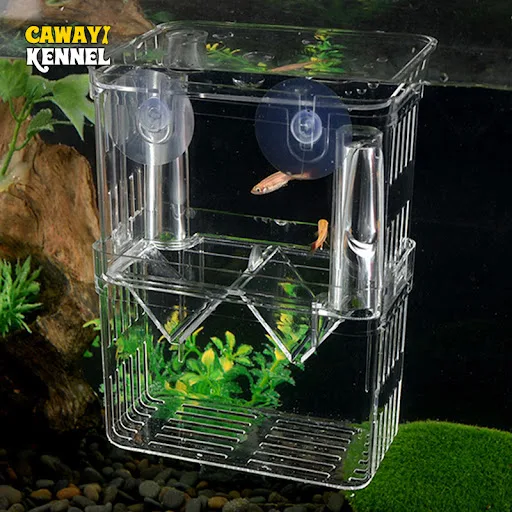 Suspended Multifunctional Guppy Breeding Box Fish Tank Acrylic Isolation Box Small Large Spawning Hatch Small Fry Fish D