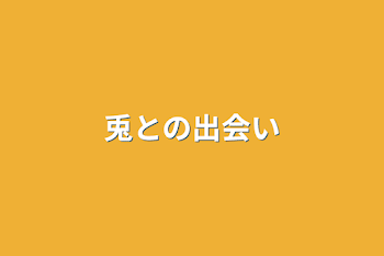 兎との出会い