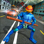 Strange Superhero Turtle Fight City War  Icon