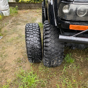 ランドクルーザー80 FZJ80G