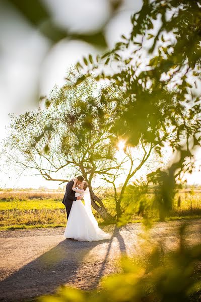 Photographe de mariage Aleksey Butchak (oleksa). Photo du 2 avril 2016