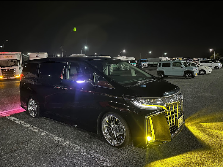 アルファードのカメ活・洗車したい・ドライブ・花粉まみれに関するカスタム事例の投稿画像2枚目