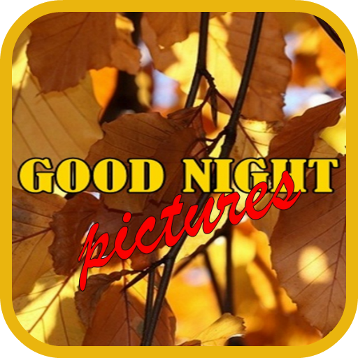 Good Night Pictures