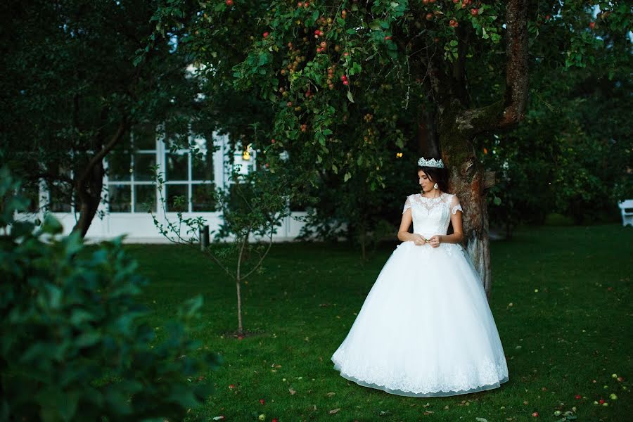 Wedding photographer Elena Kostkevich (kostkevich). Photo of 23 October 2017