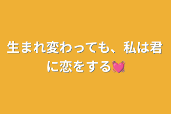 生まれ変わっても、私は君に恋をする💓