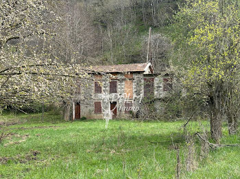 maison à Saint-Etienne-de-Tinée (06)