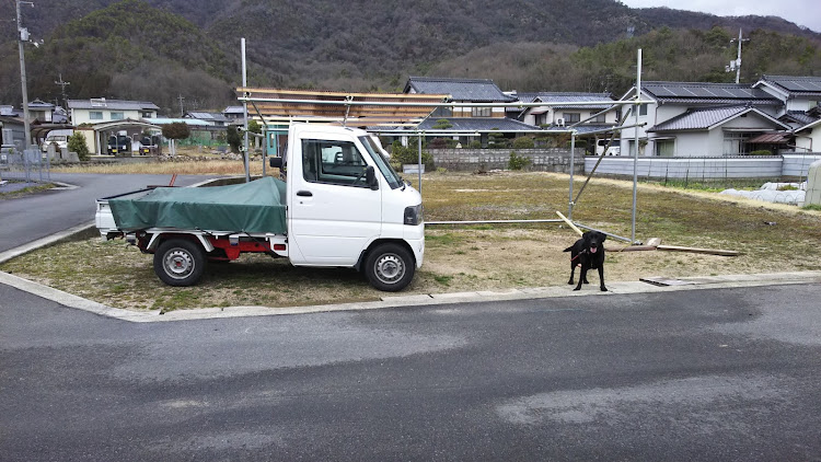 の投稿画像10枚目