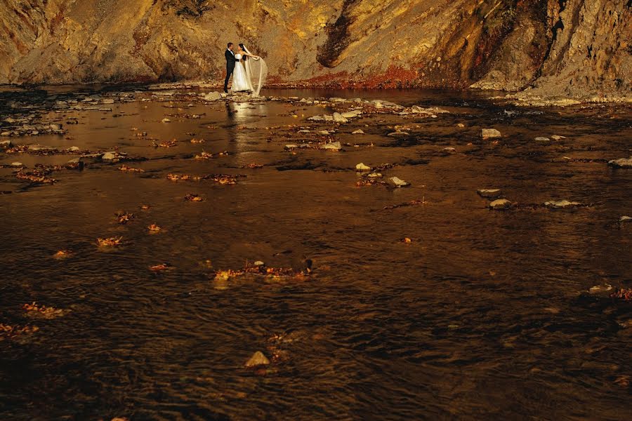 Photographe de mariage Maciek Januszewski (maciekjanuszews). Photo du 29 mars 2016