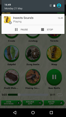 昆虫サウンドのおすすめ画像4